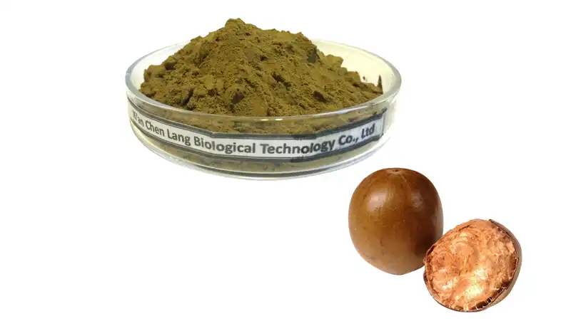 Monk Fruit Extract Powder.jpg